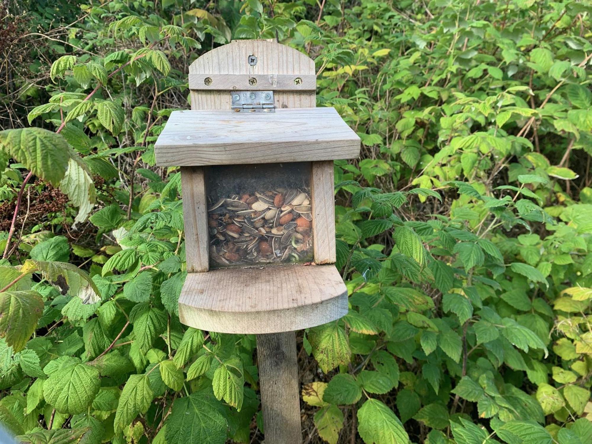 Red Squirrel Pod With Hot Tub Oban Exterior foto